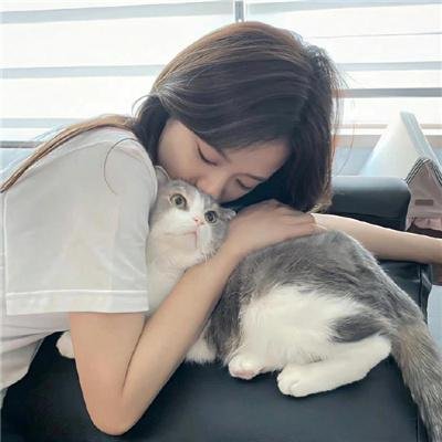 八公犬物语